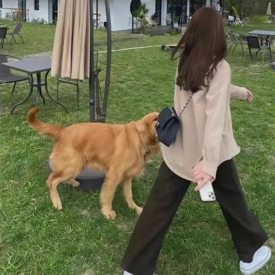在凶手的怀抱里